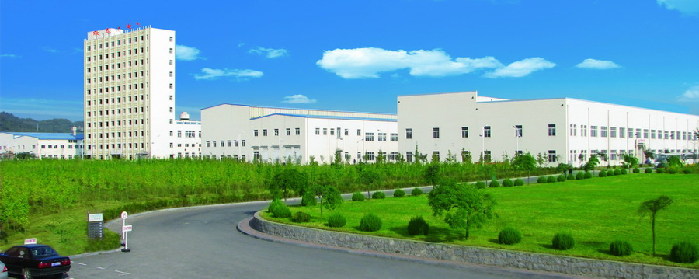 Dandong Xintai Electric Stock