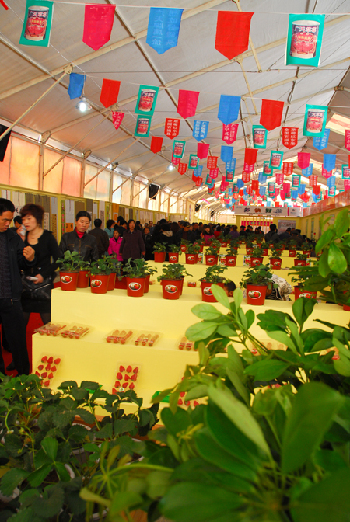 6th China (Dandong Donggang) Strawberry Cultural Festival inaugurated