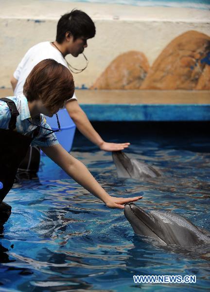 NE China uses dolphin to treat autistic children