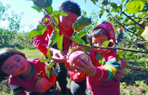 Hanfu apples welcome visitors to Shenyang
