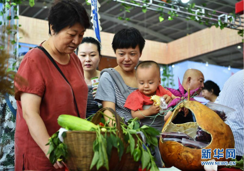 Liaoning agricultural expo underway in Shenyang