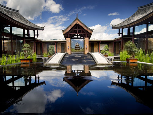 Banyan Tree in Lijiang
