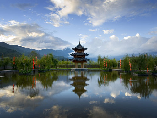 Banyan Tree in Lijiang