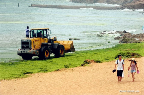 Green algae clears up in Qingdao