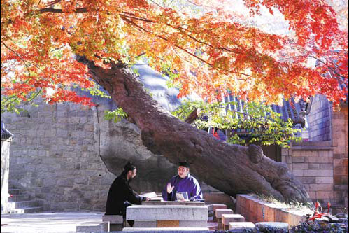 Qingdao: Merging land and sea