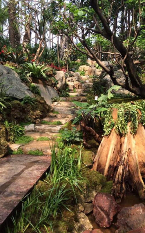 Plant Pavilion