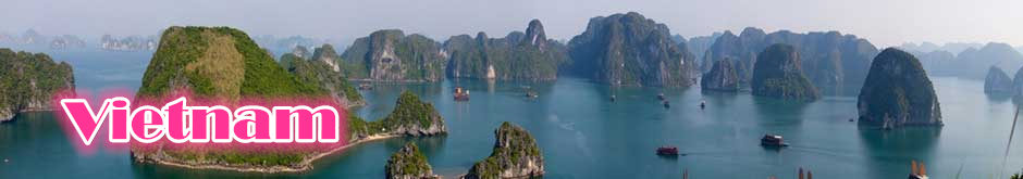 Qingdao Businesses Set Sail for Southeast Asia
