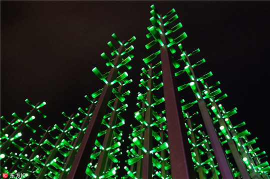 'Beer forest' lights up Qingdao