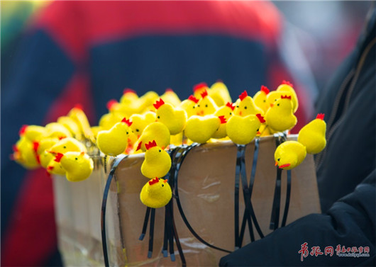 Chicken hairpins popular at Qingdao fair