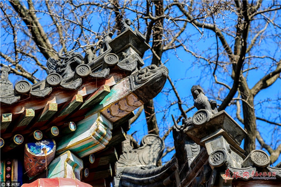 Qingdao Tianhou Palace captured in photos