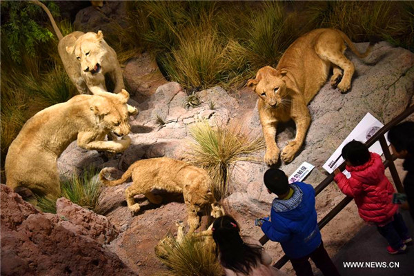 People enjoy exhibits at Behring Natural History Museum in Qingdao