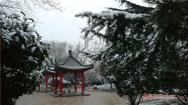 Qingdao welcomes first snow of the New Year