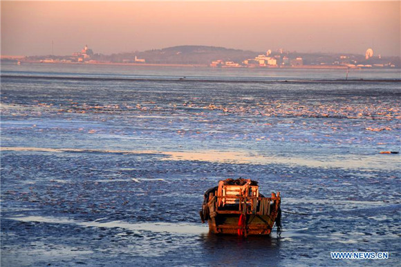 Part areas along seaside of Qingdao covered by ice in E China