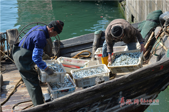 Sand lance fishing season underway in Qingdao