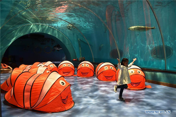 All night camp makes children closer to marine animals in Qingdao