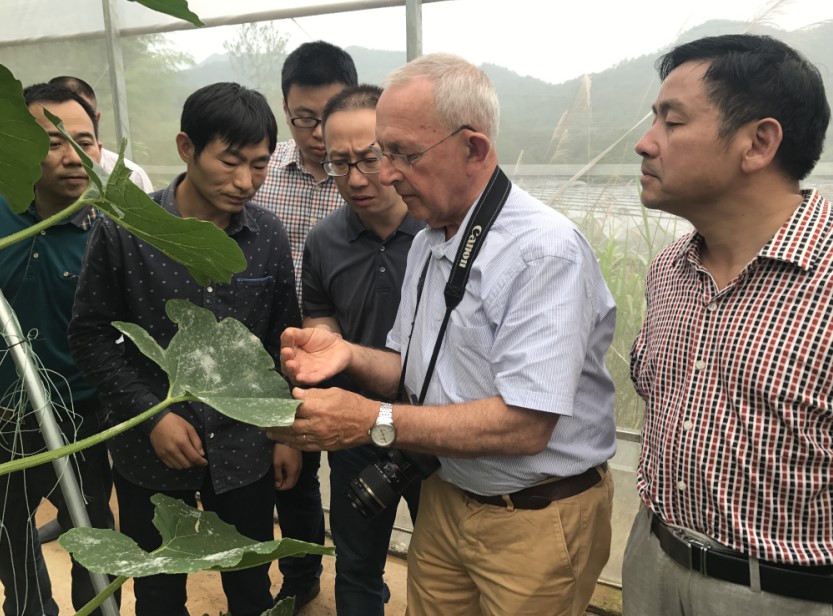 Foreign experts introduce modern agriculture technology in Zhejiang province
