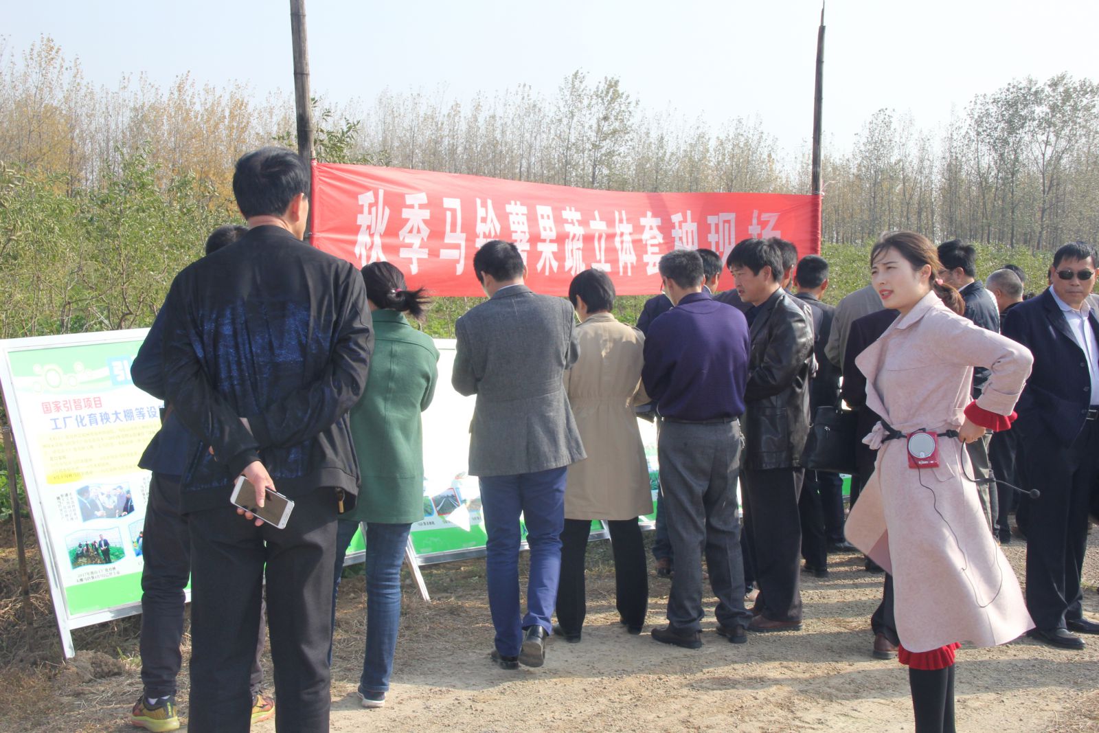 Foreign potato know-how introduced to Anhui province