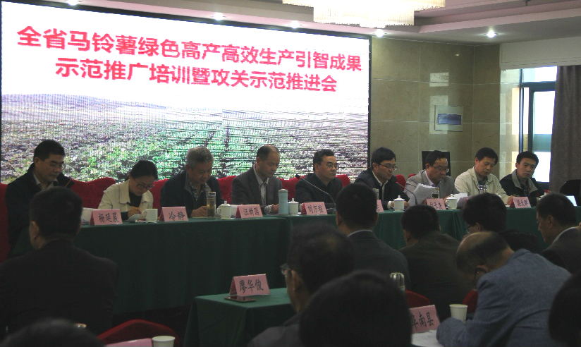 Foreign potato know-how introduced to Anhui province