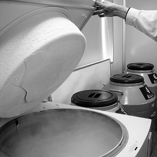 济南95%捐精志愿者是高校生 男生集体捐献精