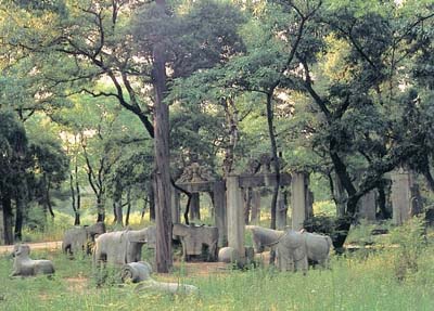 山东名胜古迹