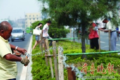 中国最美城市为何是烟台？