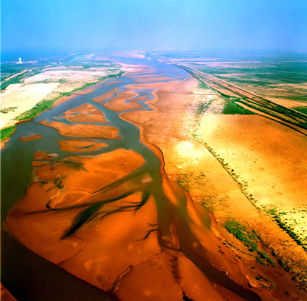 Miraculous Yellow River delta