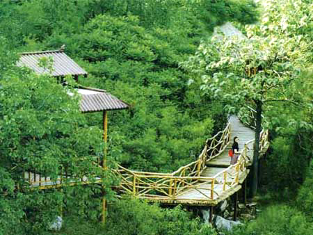山东省“十大非著名”山峰评选展示