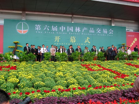 第六届中国林产品交易会在山东菏泽举行
