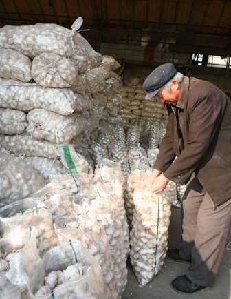 2009：中国疯狂的大蒜