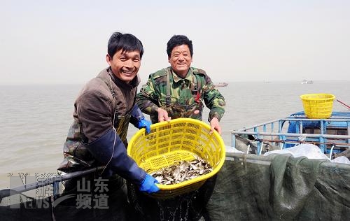 柳城县2010人口出生率_中国人口出生率下降的原因(2)