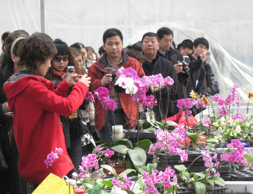 2010百家旅行社泰安行暨旅游新产品采购大会举行