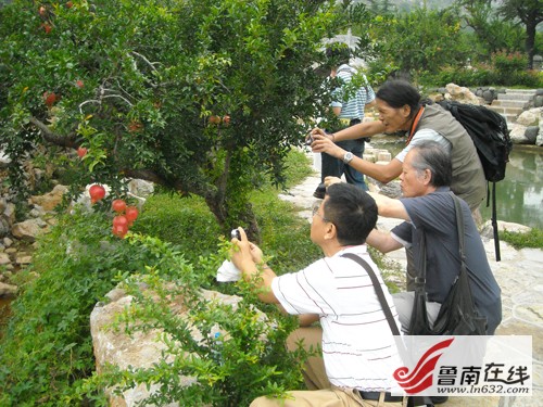 枣庄古城迎来台湾书画家