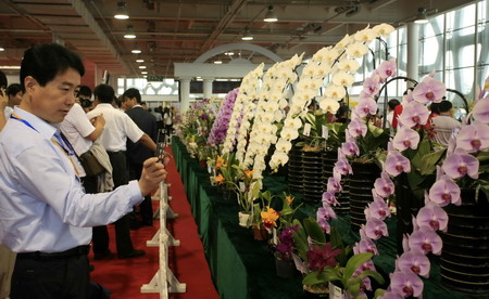 第二届中国泰山国际兰花节暨第七届中国泰山苗木花卉交易会开幕