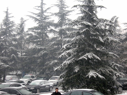 山东济南喜降瑞雪