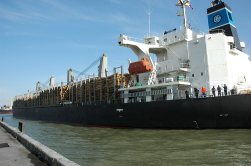 国内单船载货量最大木材船抵达蓬莱港