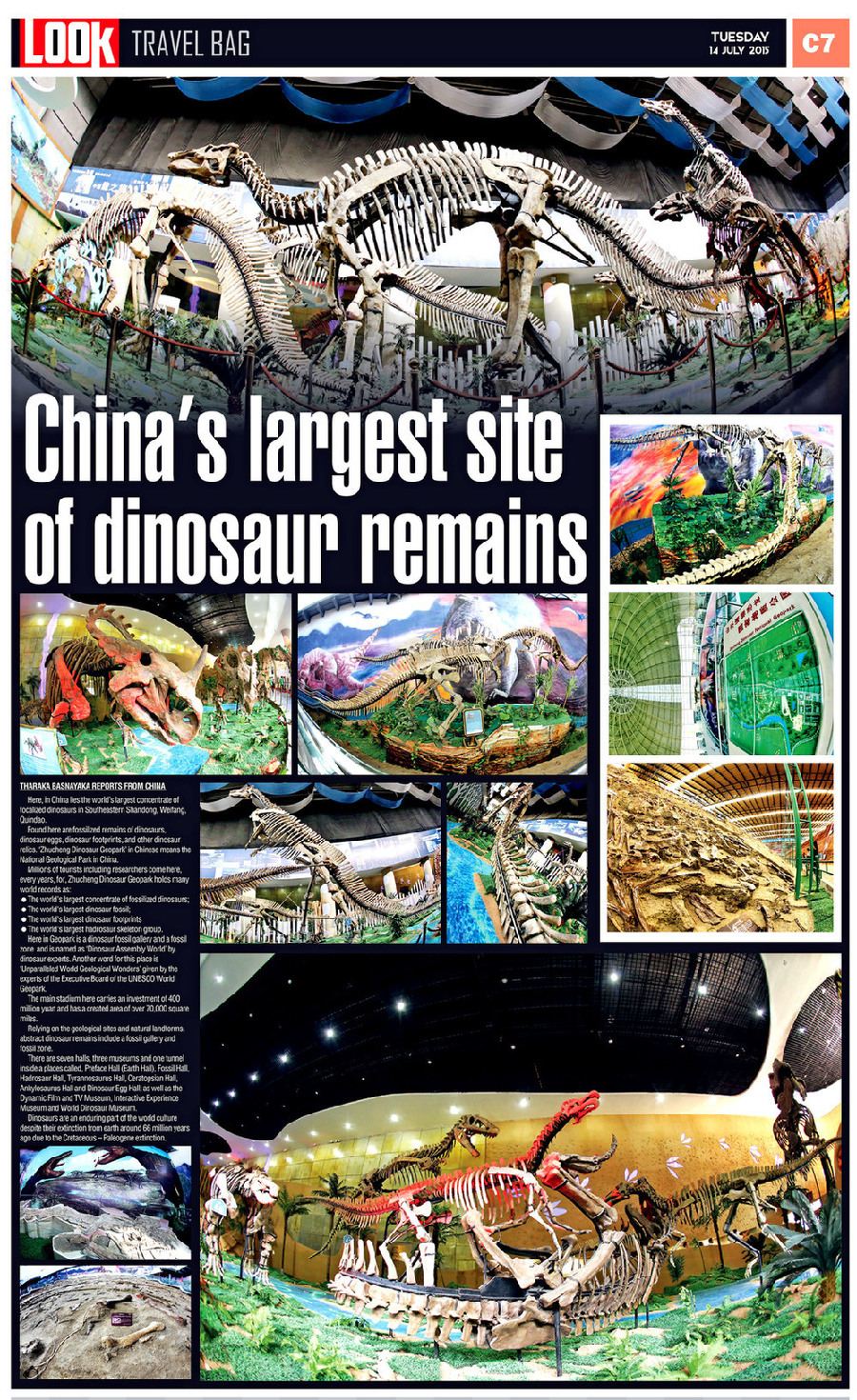 China's largest site of dinosaur remains