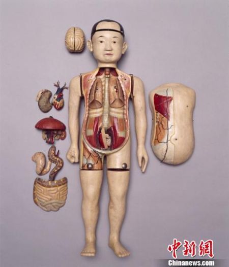 Technology curiosities from Qing Dynasty exhibited in Shandong Museum