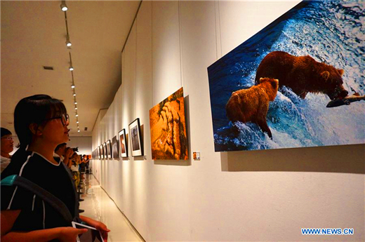 Photo exhibition on Silk Road held in Shandong