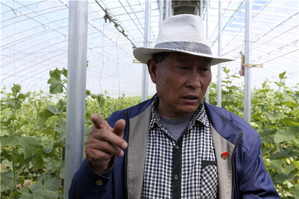 Couple sow seeds of success in Tibet county