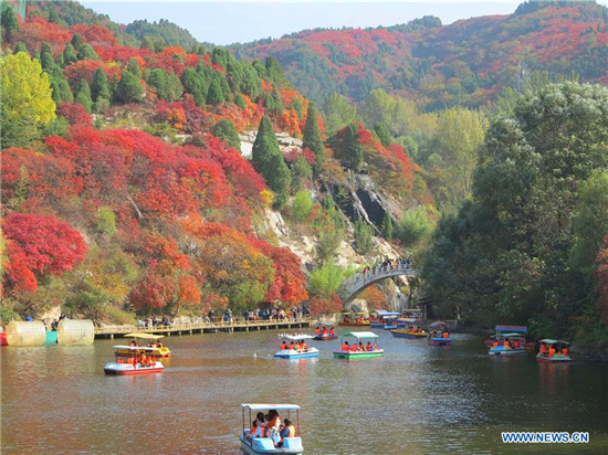 Charming autumn scenery in Jinan, E China's Shandong