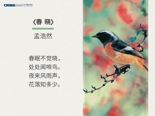 Five ancient Chinese poems about spring