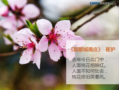 Five ancient Chinese poems about spring