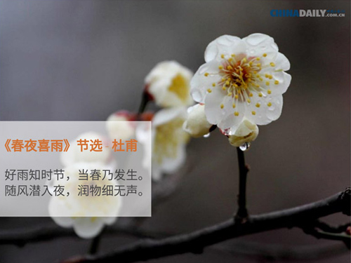 Five ancient Chinese poems about spring