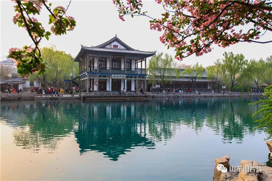 Enjoy springtime in Jinan, Shandong province