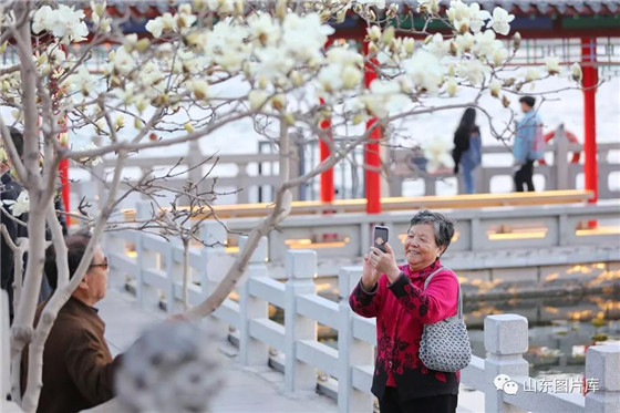 Enjoy springtime in Jinan, Shandong province