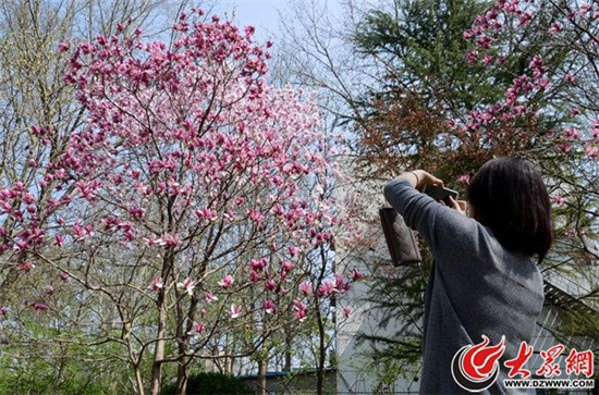 Stunning blossoms at Jinan Baihua Garden