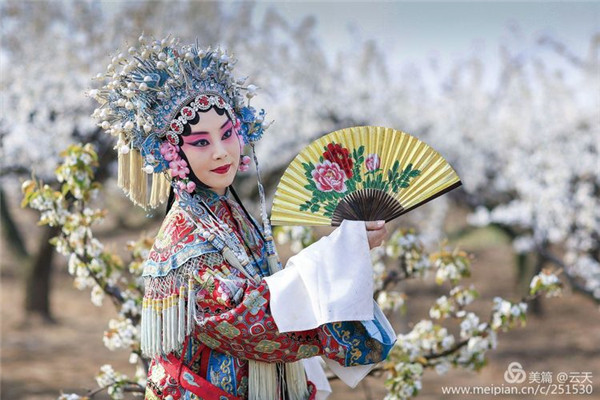 In pics: when Peking Opera meets pear blossoms