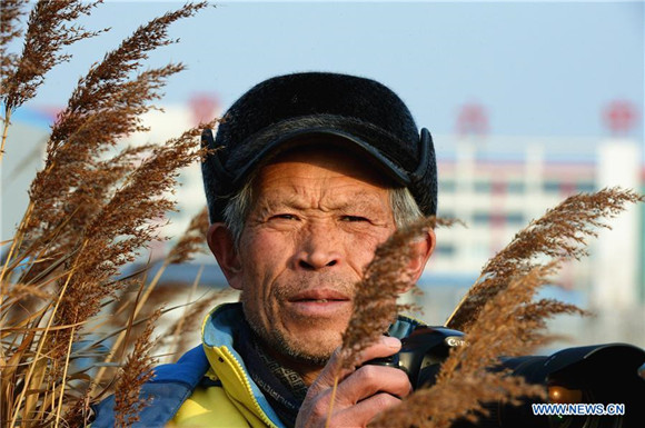 'Swan guard' devoted to protection of swans for over 40 years in East China<BR>