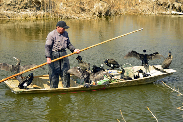 Traditional fishing preserved in Shandong