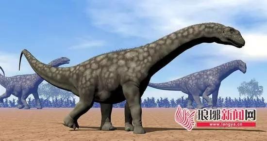 Dinosaur footprints found in Shandong